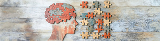 approche CESAME® (Cognition, Émotion, Soma, Autres, Monde, Environnement)