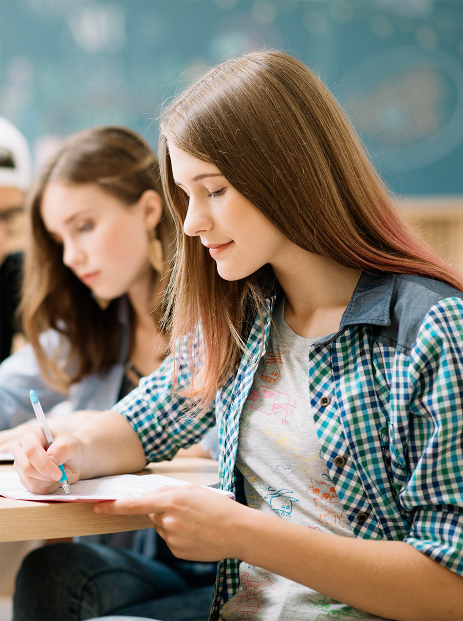 l’approche systémique et stratégique en milieu scolaire